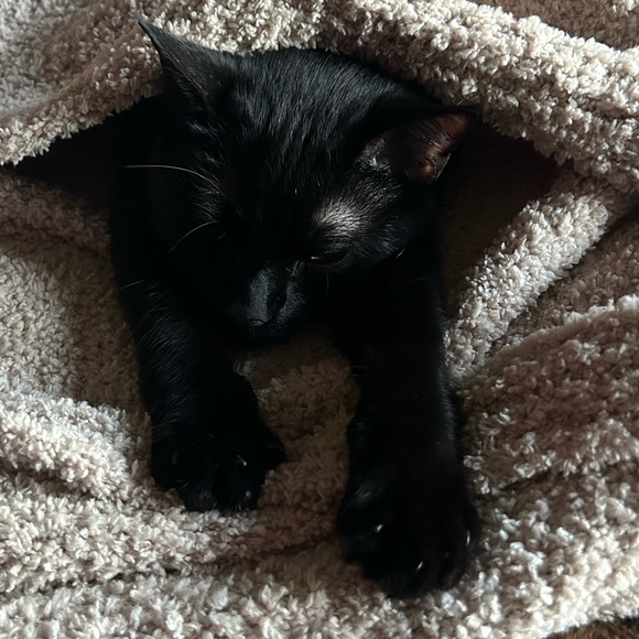 🚜 HI IM TANK 🚜 - Picture 10 of 11